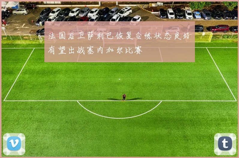 法国后卫萨利巴恢复合练状态良好有望出战塞内加尔比赛