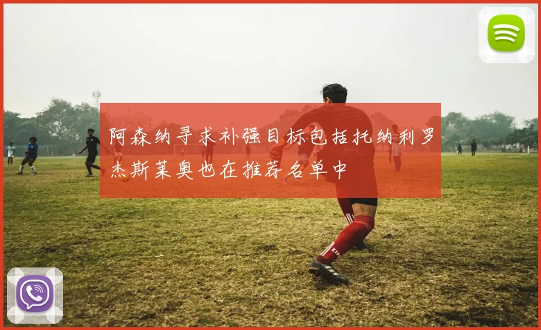 阿森纳寻求补强目标包括托纳利罗杰斯莱奥也在推荐名单中
